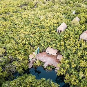 https://manglex-cenote-eco-hotel.allrivieramayahotels.com